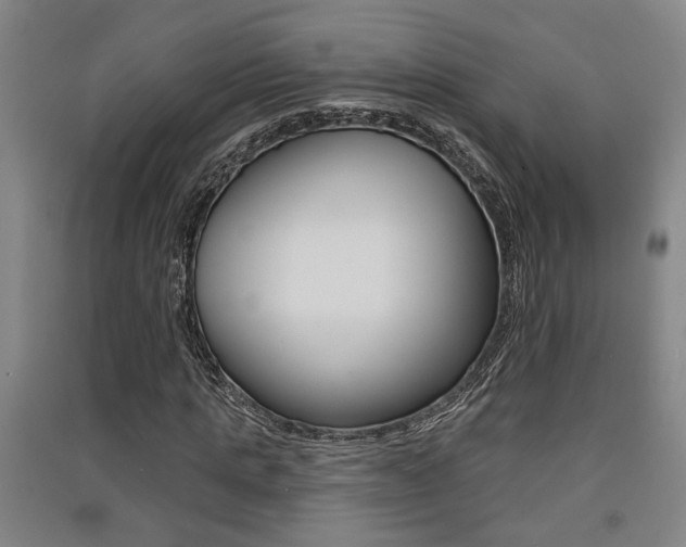 X0000091510821200708170947