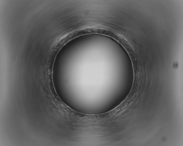 X0000091510822200708170947