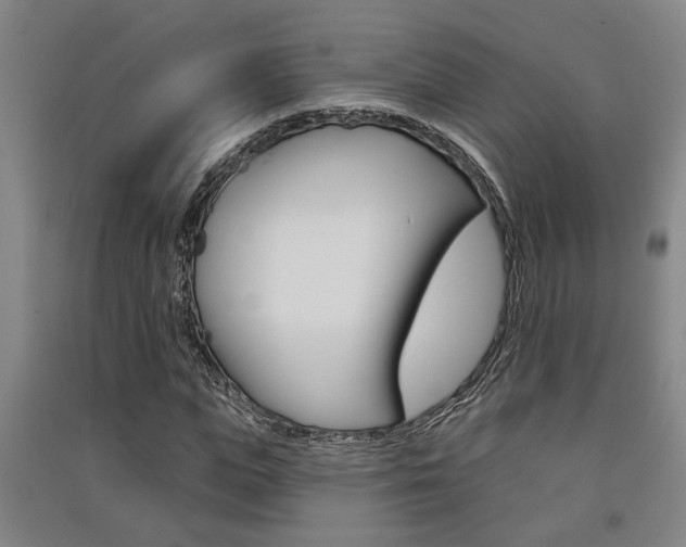 X0000091510823200708170947