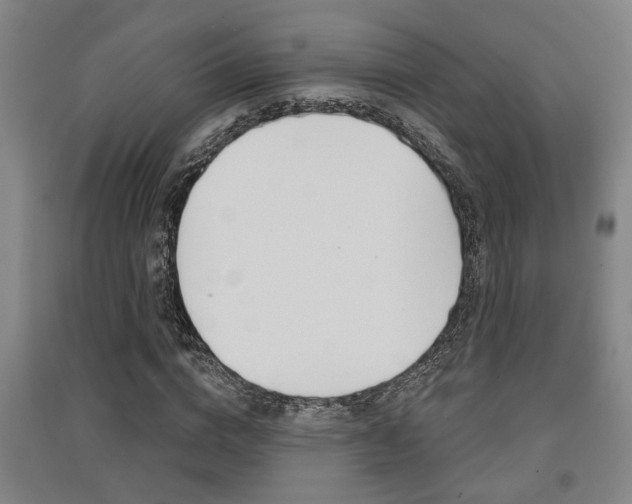 X0000091510824200708170947