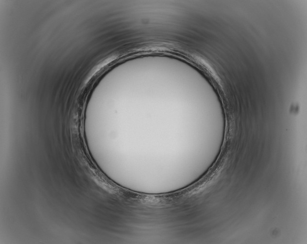 X0000091510827200708170947