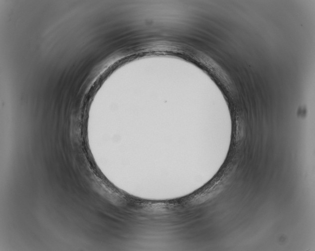 X0000091510828200708170947
