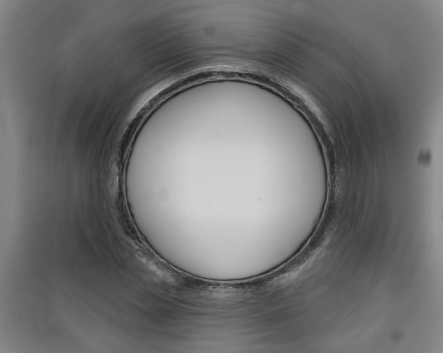 X0000091510829200708170947