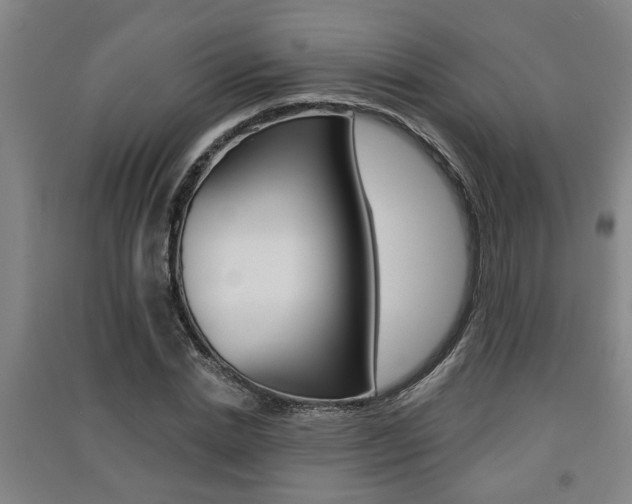 X0000091510830200708170947