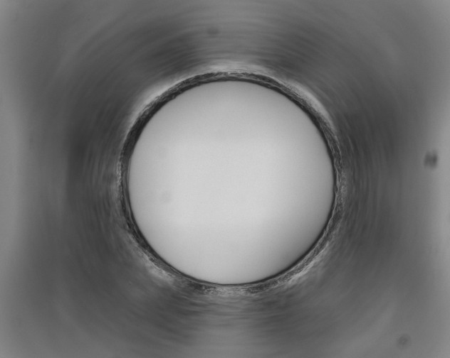 X0000091510831200708170947