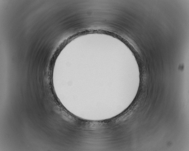 X0000091510832200708170947