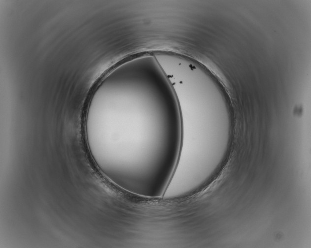 X0000091510834200708170947