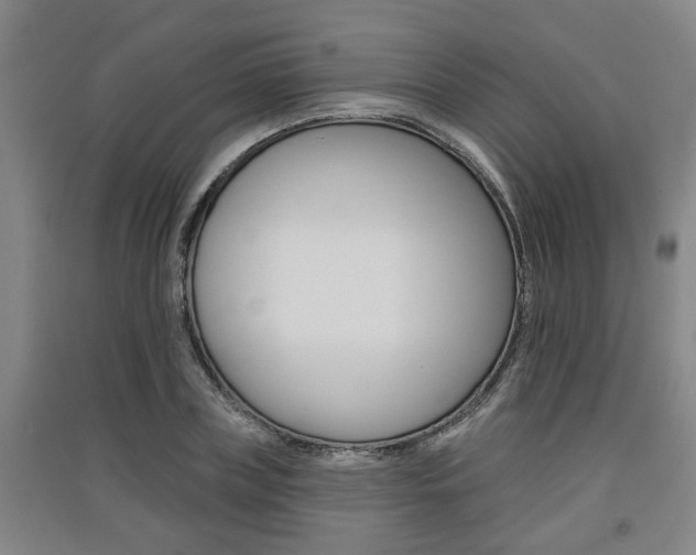 X0000091510835200708170947