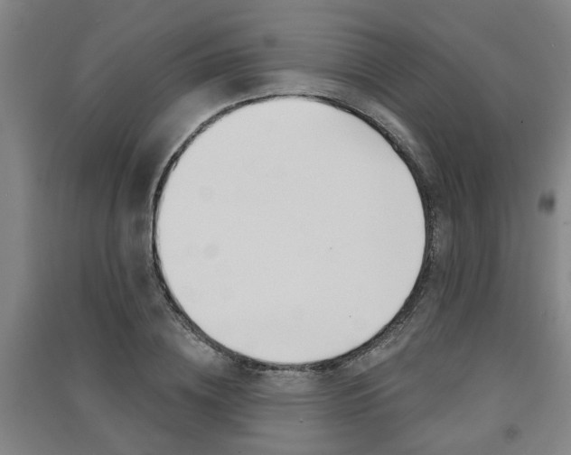 X0000091510836200708170947