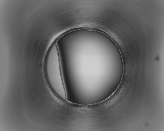 X0000091510838200708170948