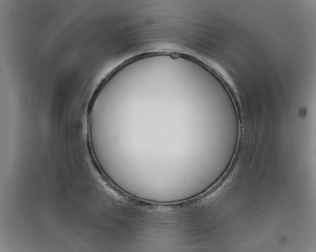 X0000091510839200708170948