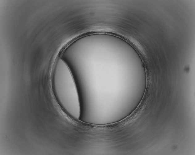 X0000091510840200708170948