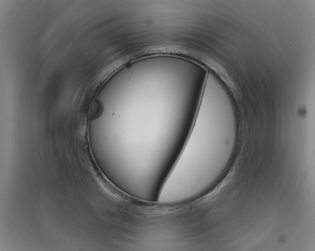 X0000091510841200708170948
