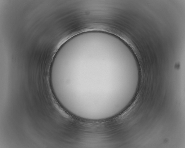 X0000091510842200708170948