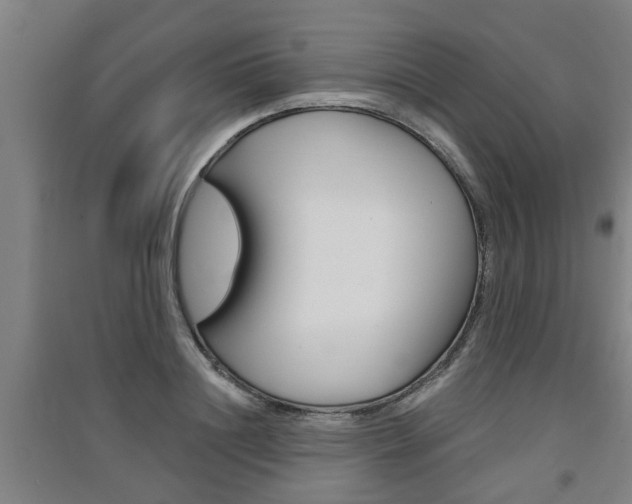 X0000091510844200708170948