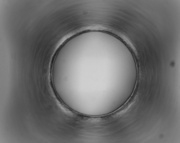 X0000091510845200708170948