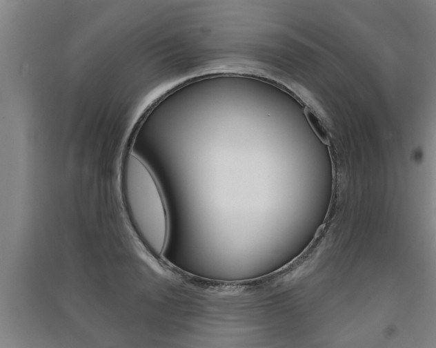 X0000091510846200708170948