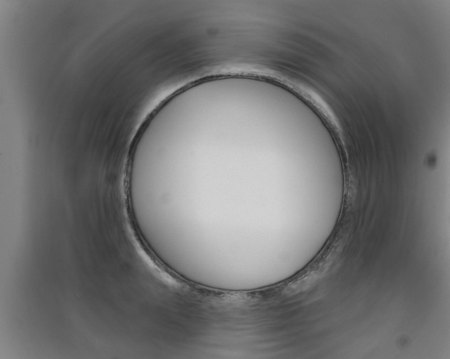 X0000091510847200708170948