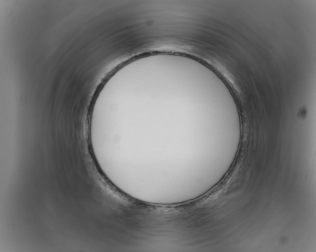 X0000091510848200708170948