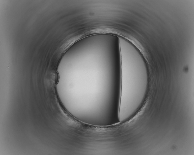 X0000091510849200708170948