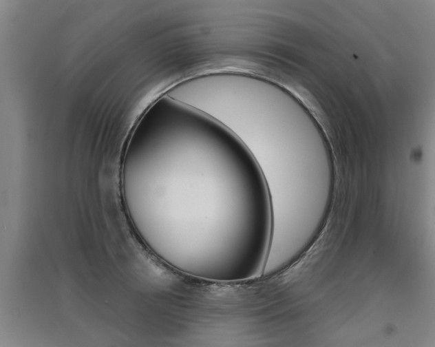 X0000091510850200708170948