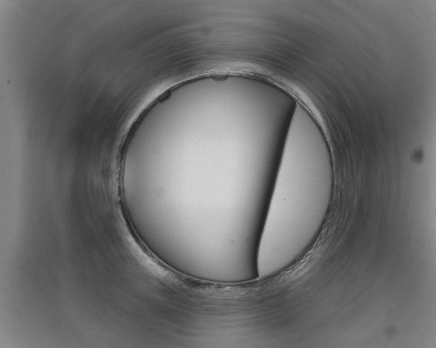 X0000091510851200708170948
