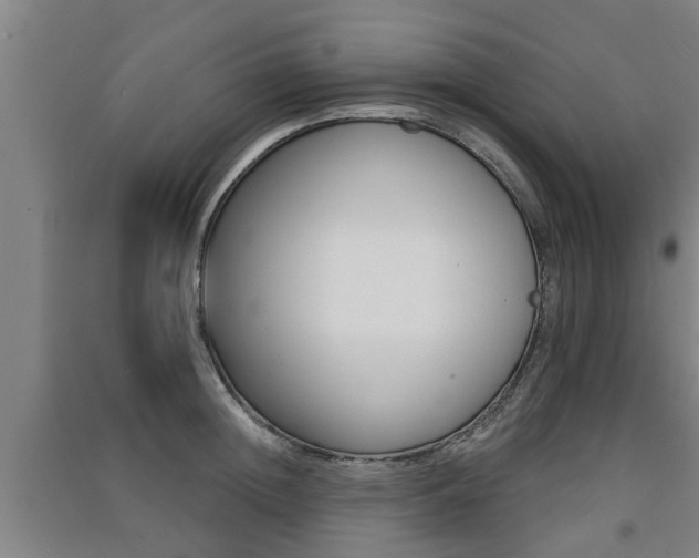 X0000091510852200708170948