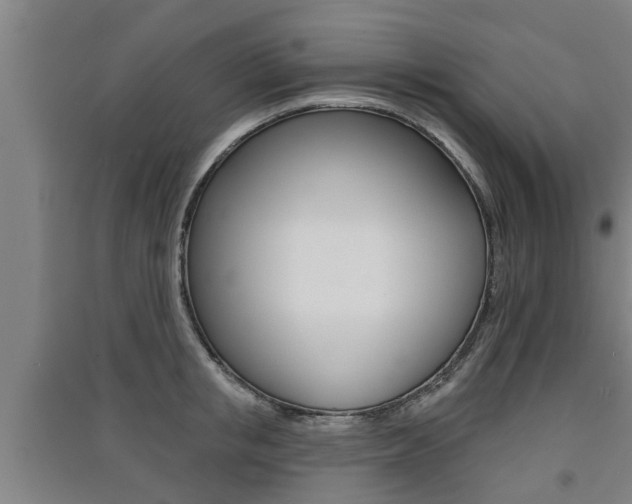 X0000091510853200708170948