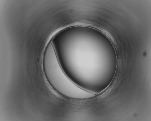 X0000091510854200708170948