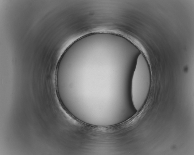 X0000091510855200708170948