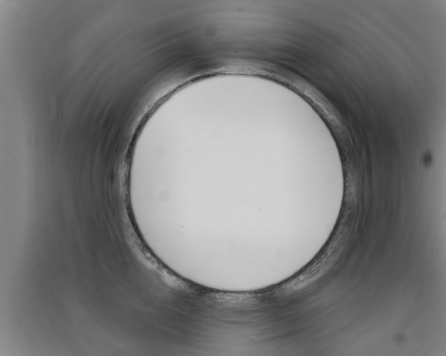 X0000091510856200708170948