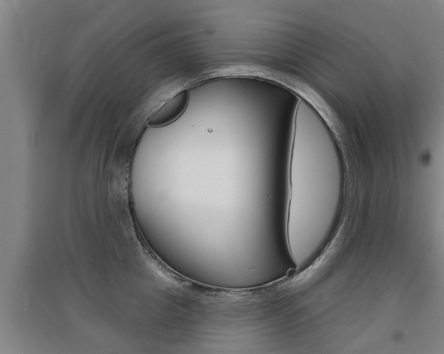 X0000091510857200708170948
