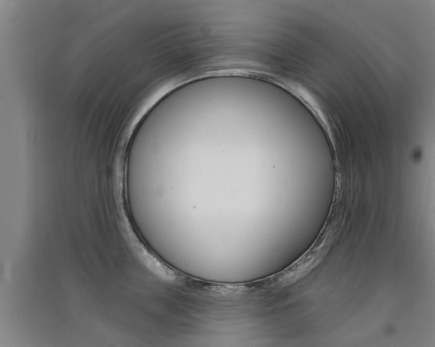 X0000091510859200708170948