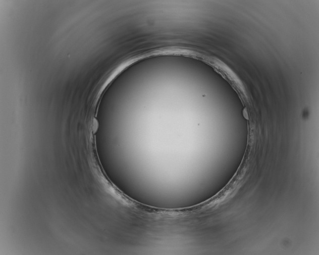 X0000091510860200708170948