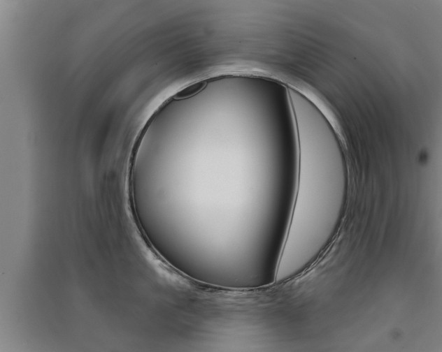 X0000091510861200708170948