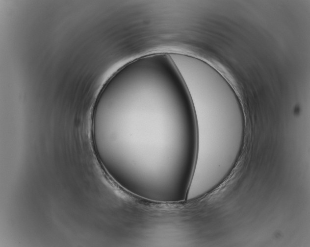 X0000091510862200708170948