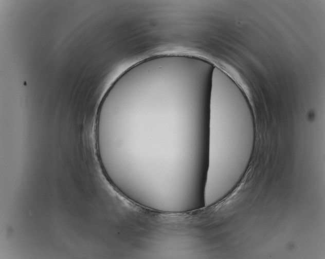 X0000091510863200708170948