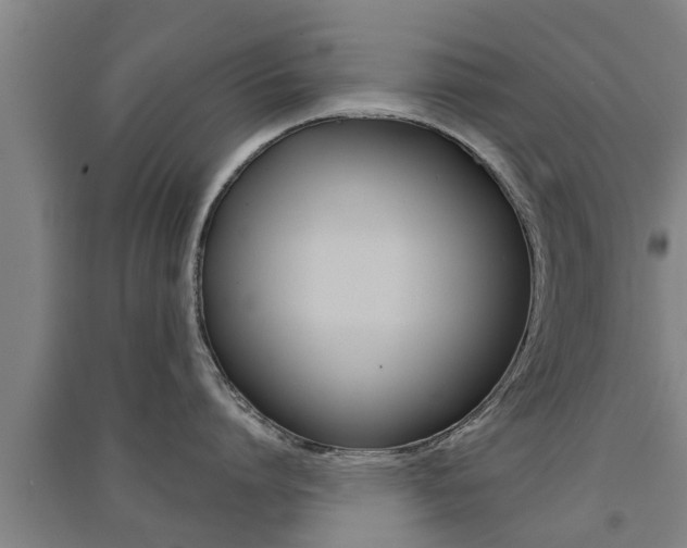 X0000091510864200708170948