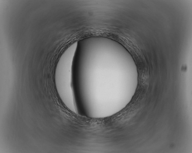 X0000091510865200708170947
