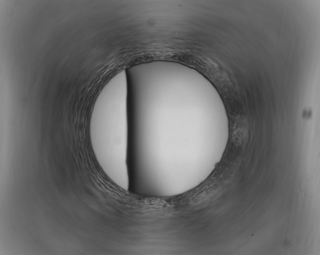 X0000091510866200708170947