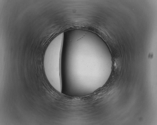 X0000091510867200708170947