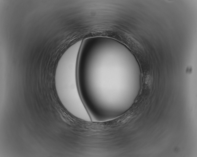 X0000091510868200708170947