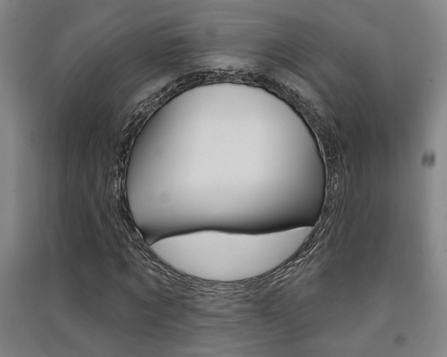 X0000091510869200708170947