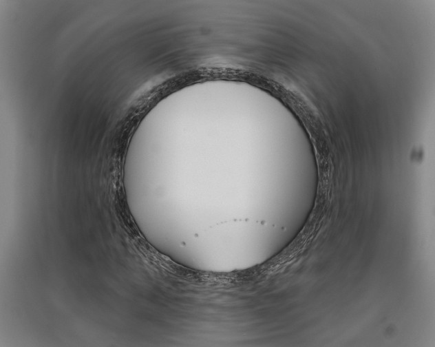 X0000091510870200708170947