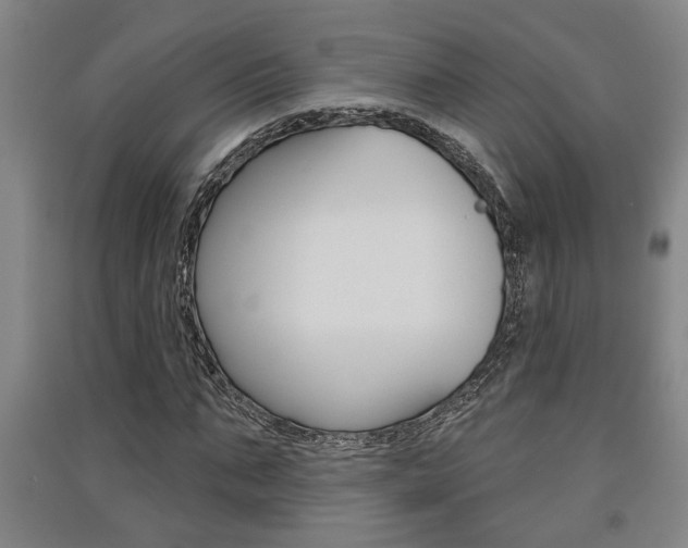 X0000091510871200708170947