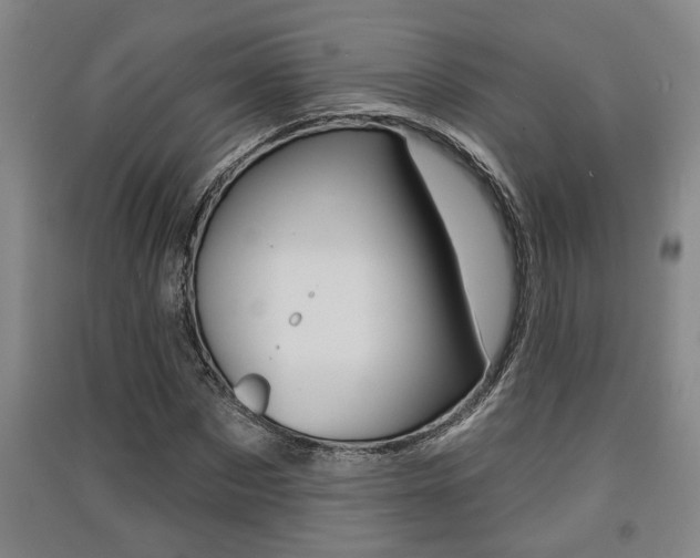 X0000091510873200708170947