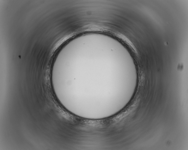 X0000091510874200708170947