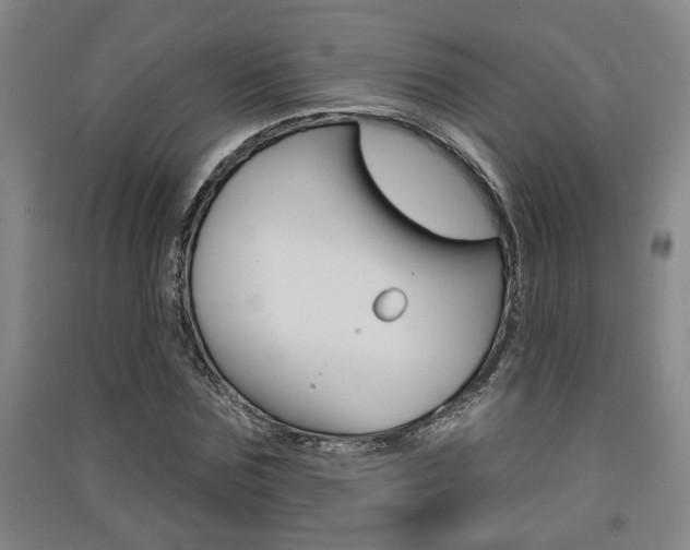 X0000091510875200708170947