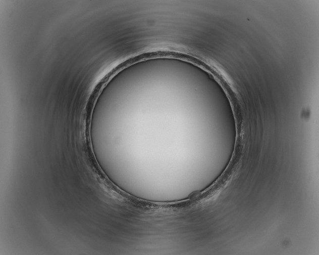 X0000091510877200708170947