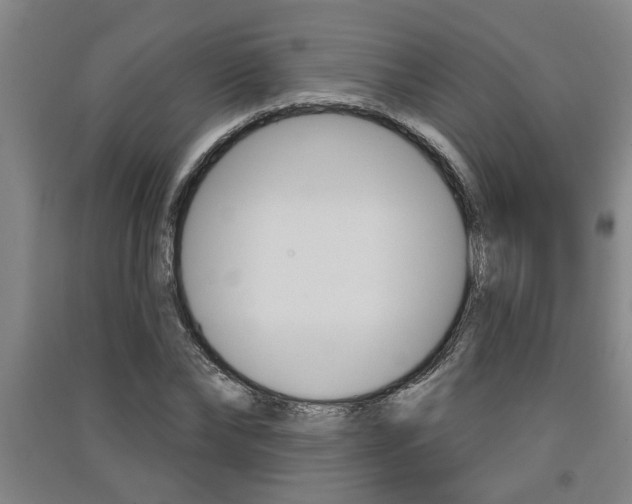 X0000091510878200708170947